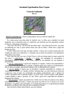 Ervas - Curso de Umbanda.pdf